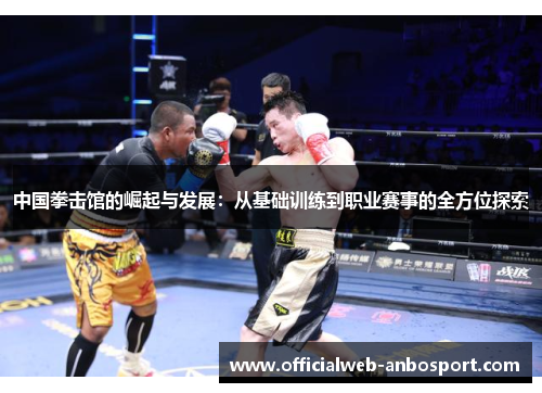 中国拳击馆的崛起与发展:从基础训练到职业赛事的全方位探索