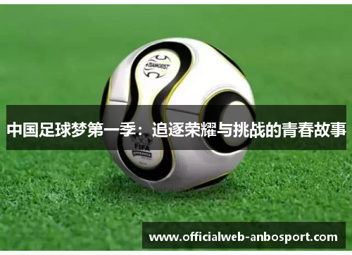 中国足球梦第一季:追逐荣耀与挑战的青春故事