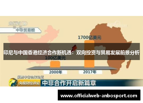 印尼与中国香港经济合作新机遇:双向投资与贸易发展前景分析